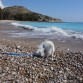 Primer día en la playa.